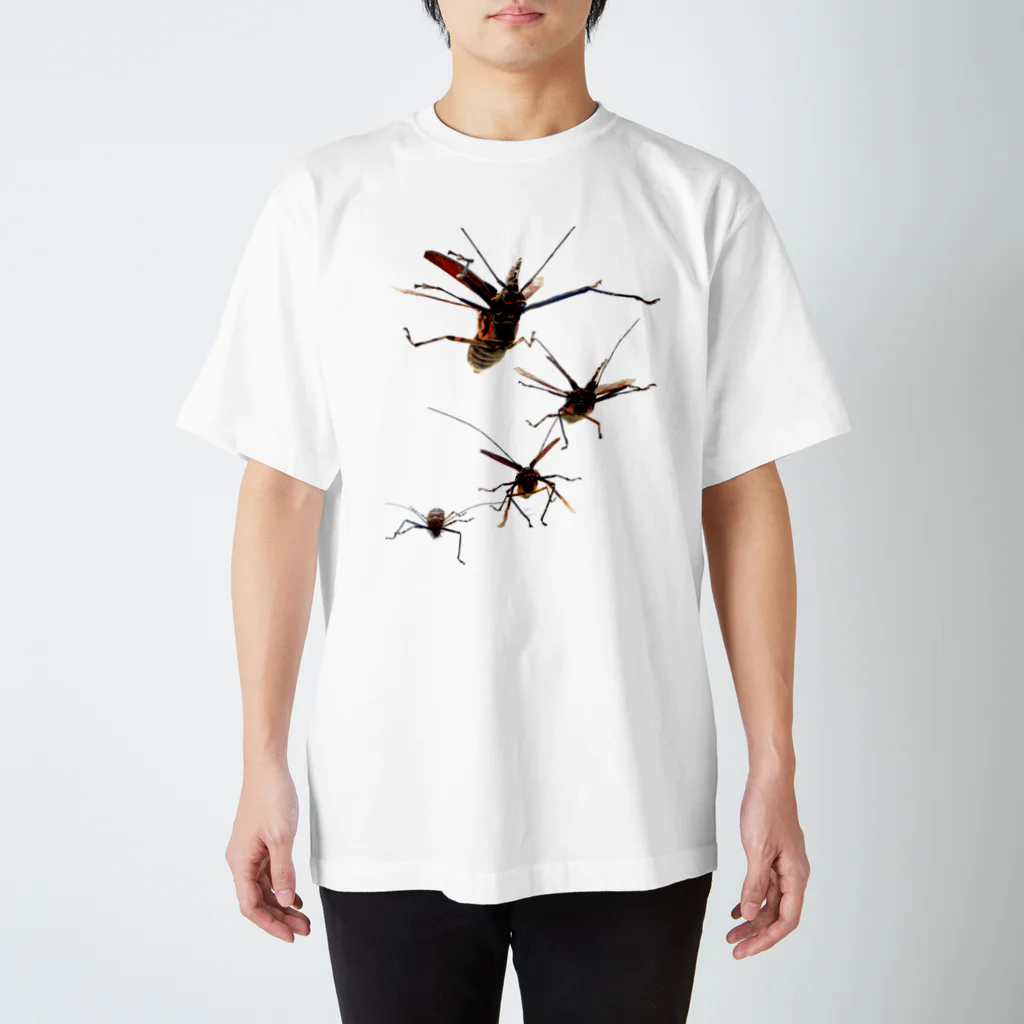 osakana_labのテナガカミキリ飛ぶ Regular Fit T-Shirt