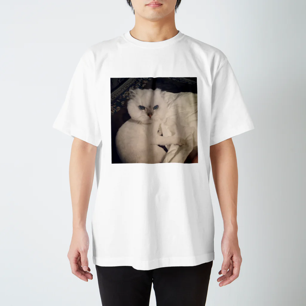 あめ☆りあのまお(あたまでかい) Regular Fit T-Shirt