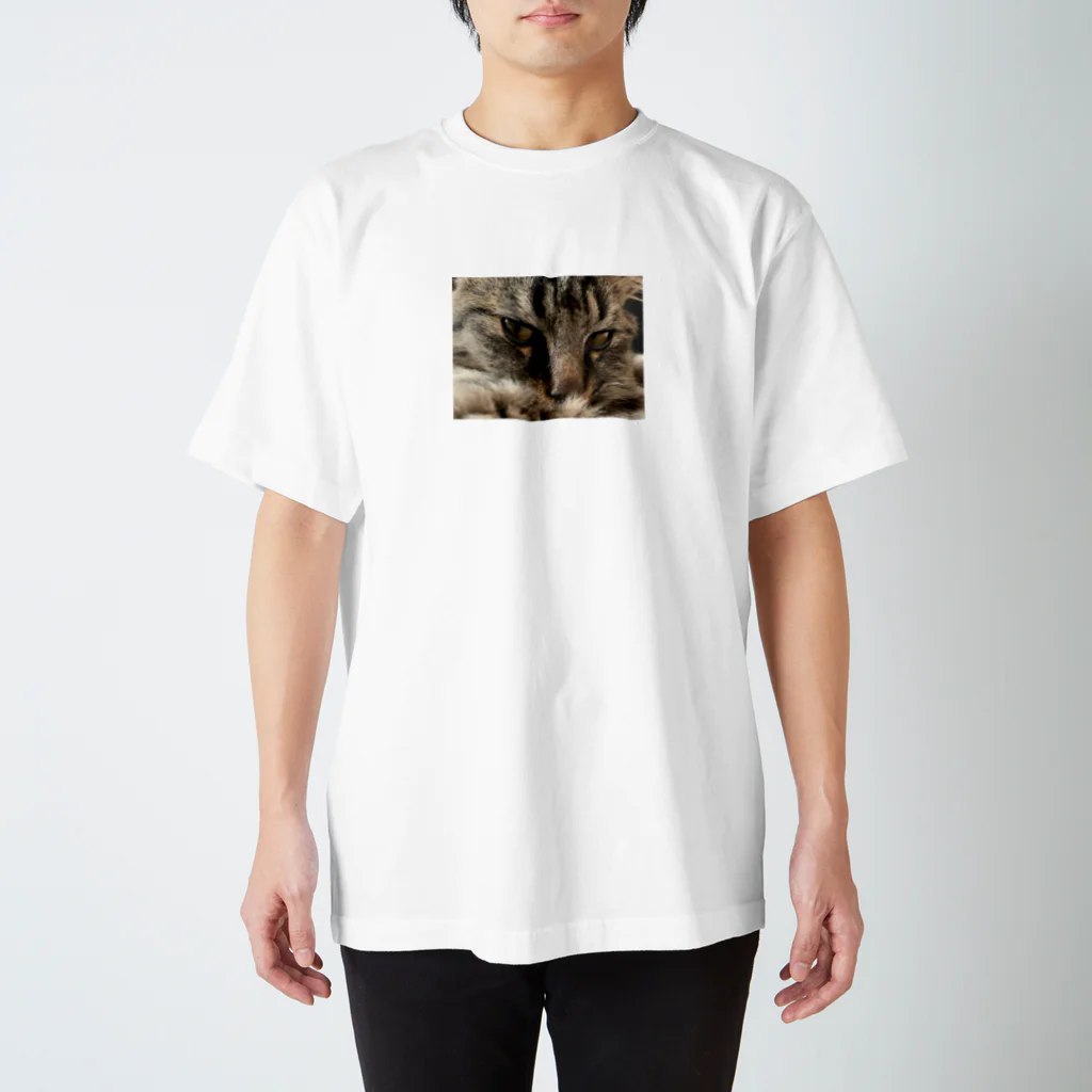 【AtSA】いしそら(るくでぃ)のe Regular Fit T-Shirt