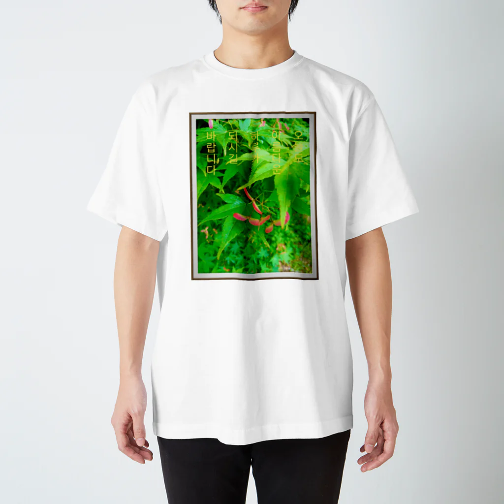 LalaHangeulの아름다운 하루 ~美しい1日~ Regular Fit T-Shirt