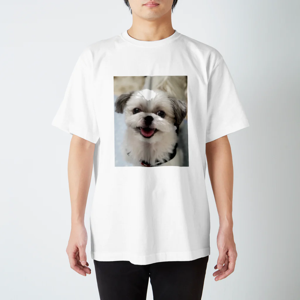シーズー　ししまる＆ちゃちゃまるのシーズーししまる Regular Fit T-Shirt