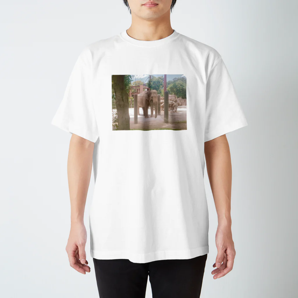 杏仁豆腐のぞうさん Regular Fit T-Shirt