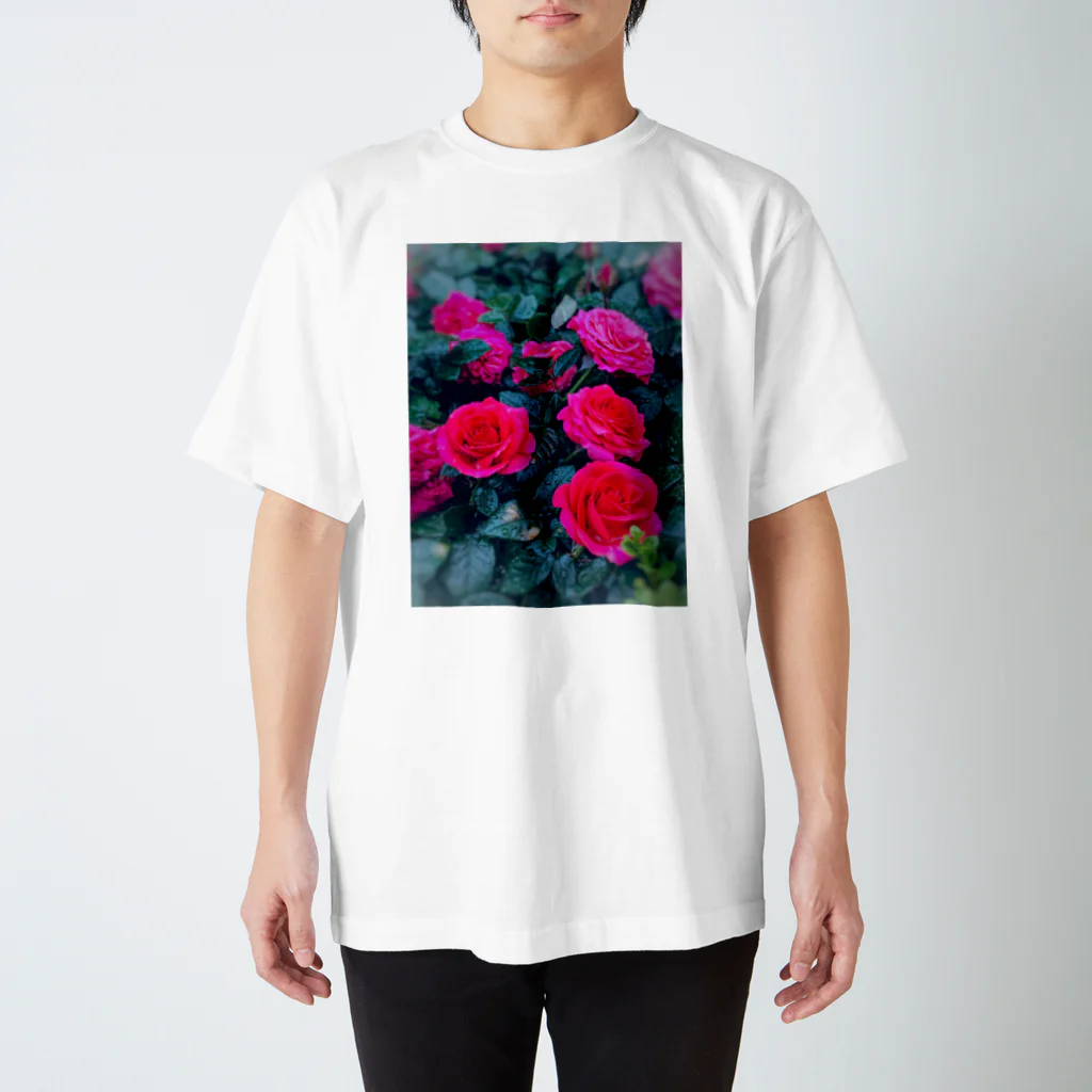 ナスタチウムのお花図鑑の雨の日のバラの世界 Regular Fit T-Shirt