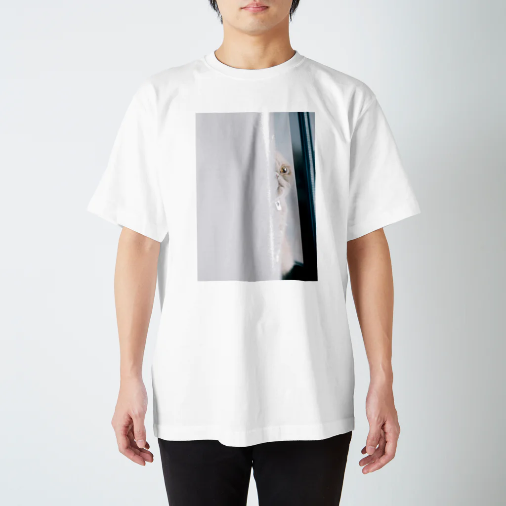 hakusanmarqshopのすきまからまるちゃん Regular Fit T-Shirt