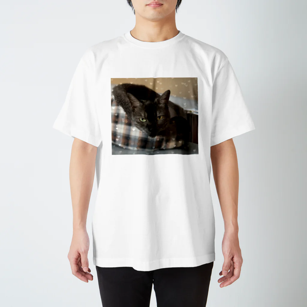 みくの自分用 Regular Fit T-Shirt