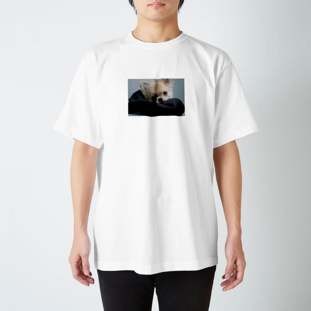 皐のわんこトート Regular Fit T-Shirt