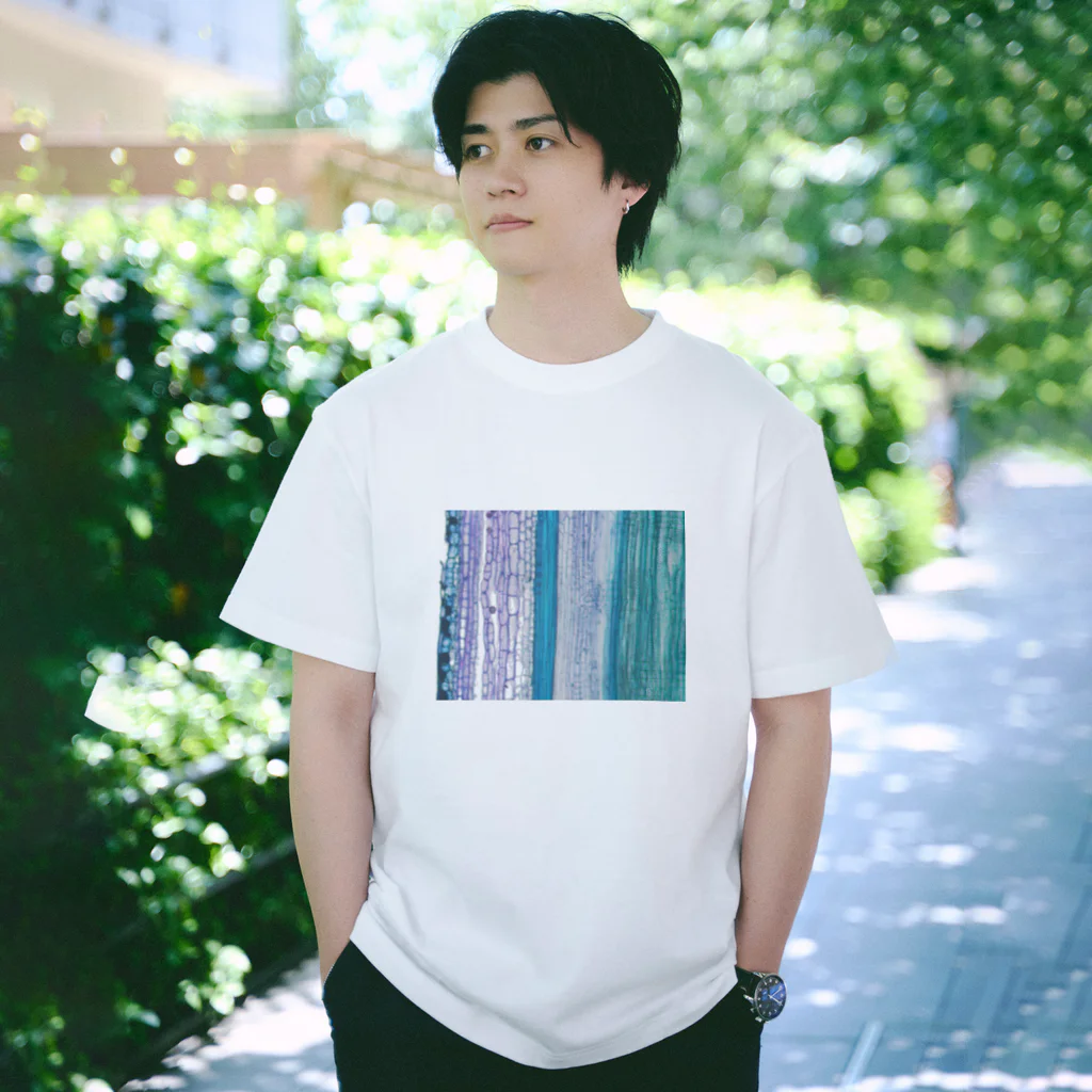 WOODANATOMYのToluidine blue 1 Regular Fit T-Shirt