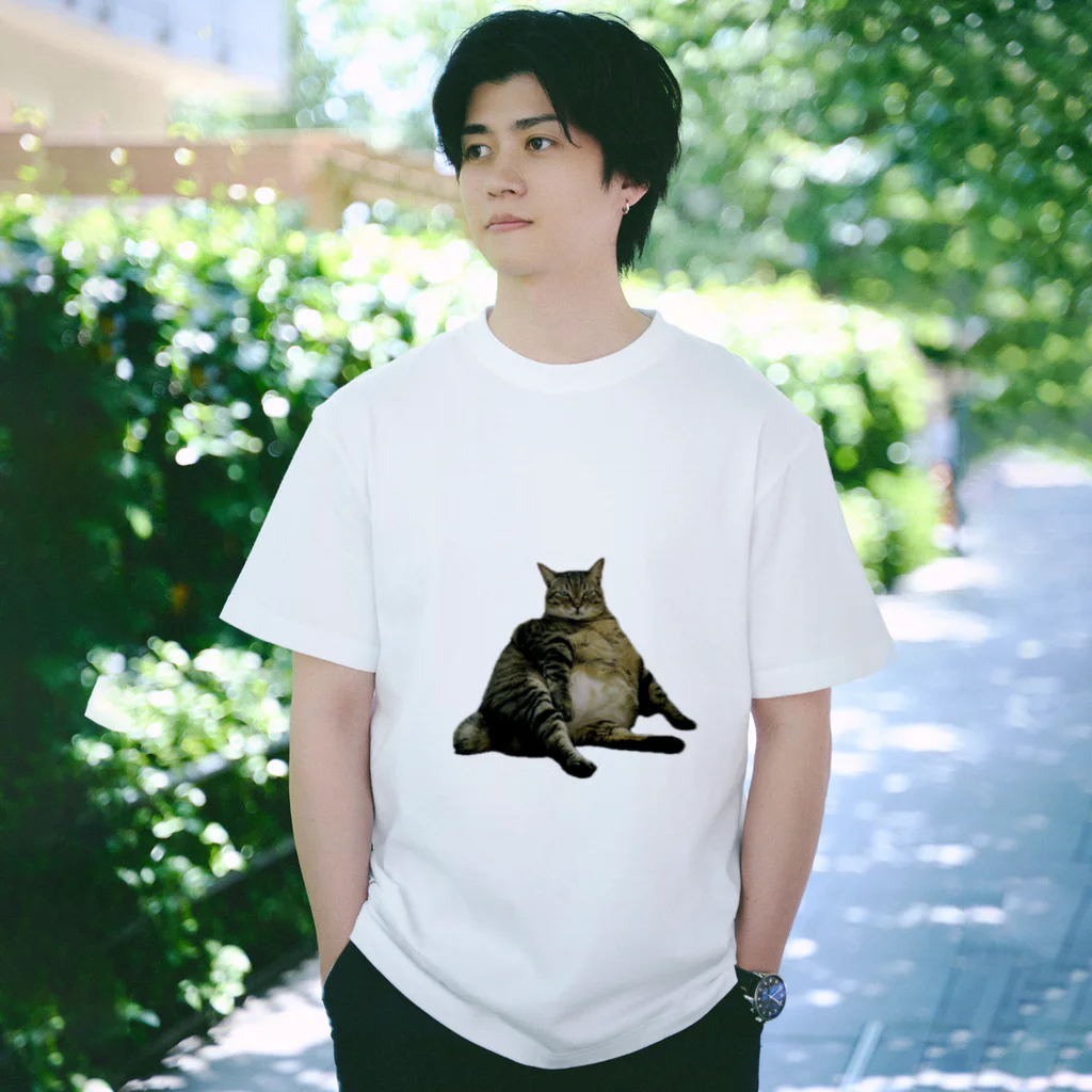 currycurryaoの頼もしいあきら文字なし Regular Fit T-Shirt