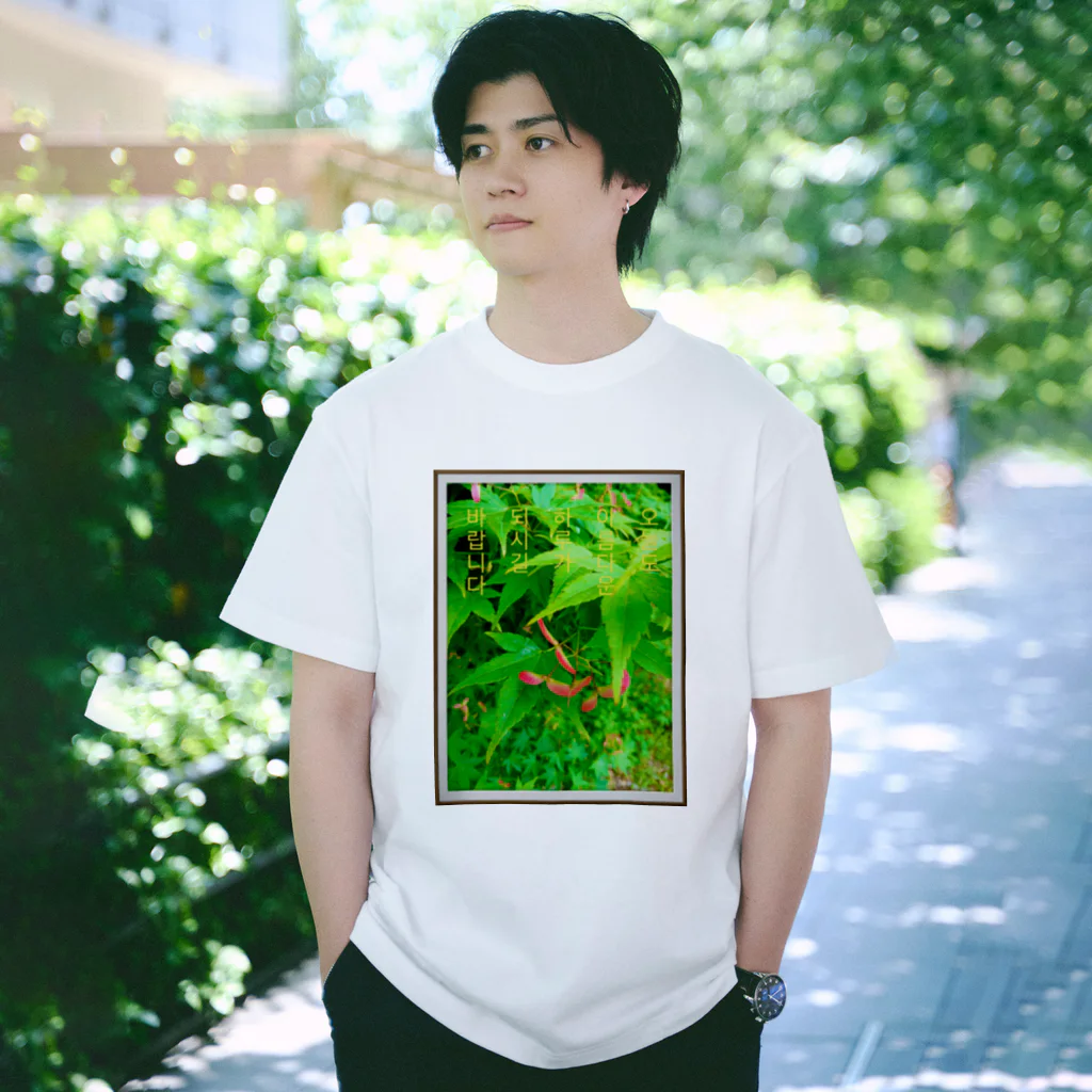 LalaHangeulの아름다운 하루 ~美しい1日~ Regular Fit T-Shirt