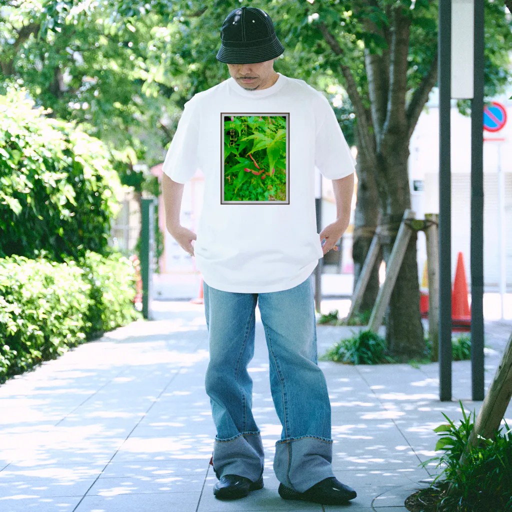 LalaHangeulの아름다운 하루 ~美しい1日~ Regular Fit T-Shirt