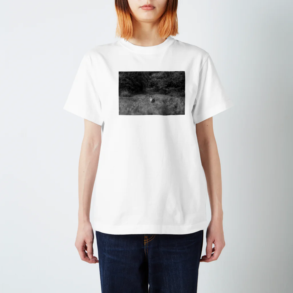 NEKOTORU（ねことる）のNagi mono Regular Fit T-Shirt