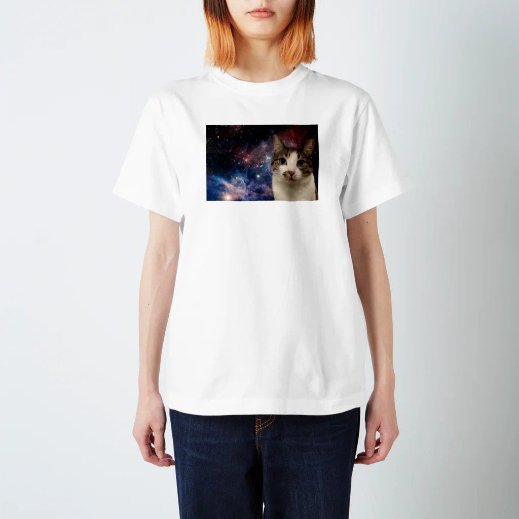 ナスビ仮面のうちの猫あおさ Regular Fit T-Shirt