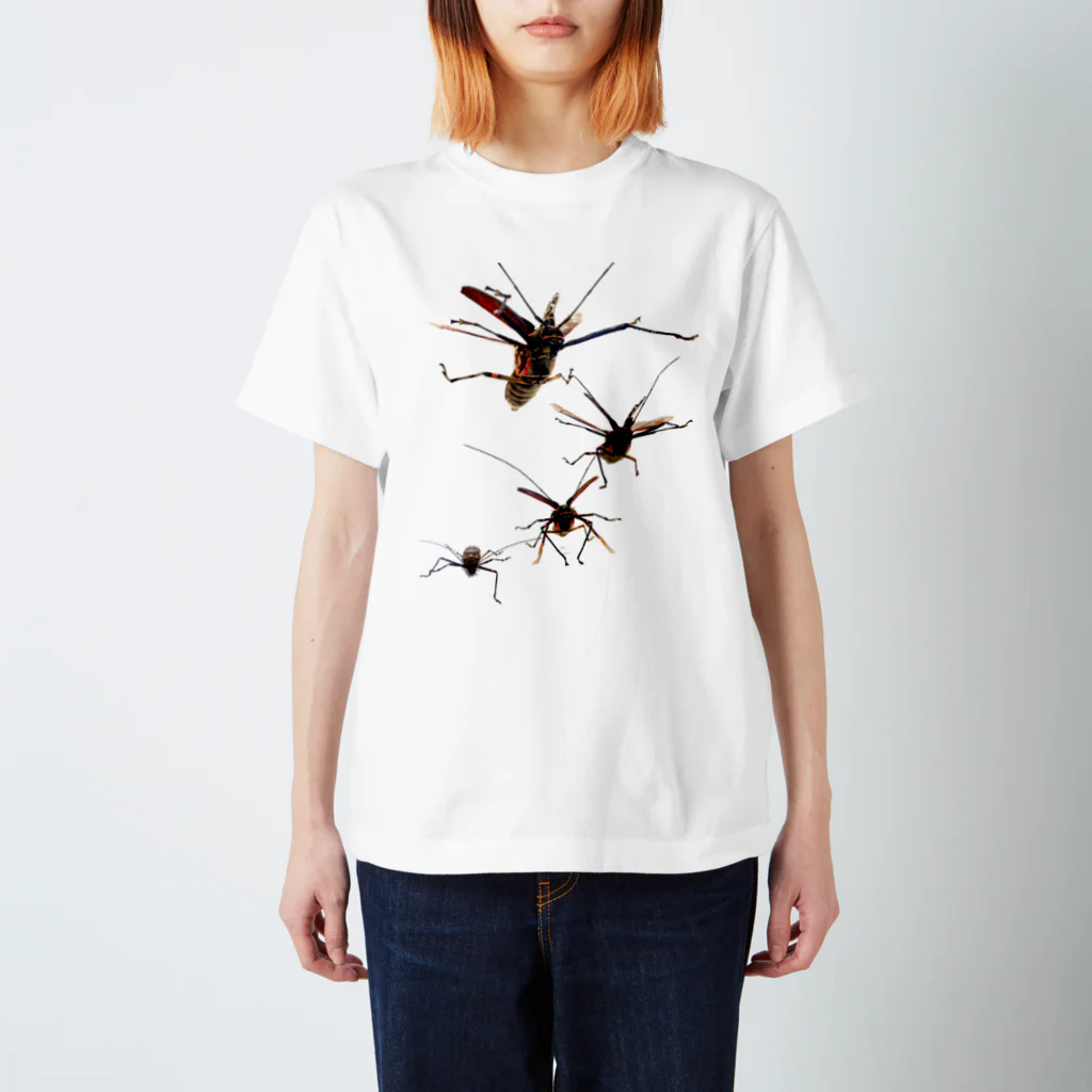 osakana_labのテナガカミキリ飛ぶ Regular Fit T-Shirt