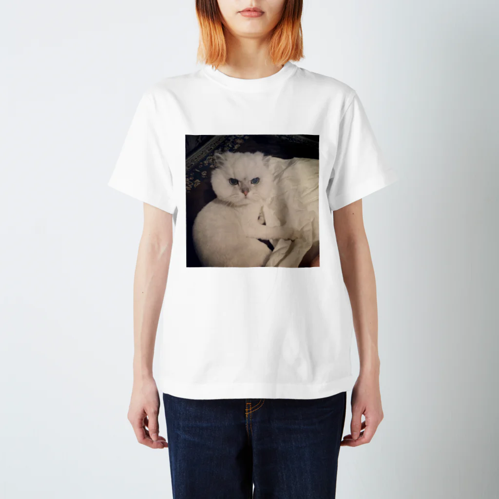 あめ☆りあのまお(あたまでかい) Regular Fit T-Shirt