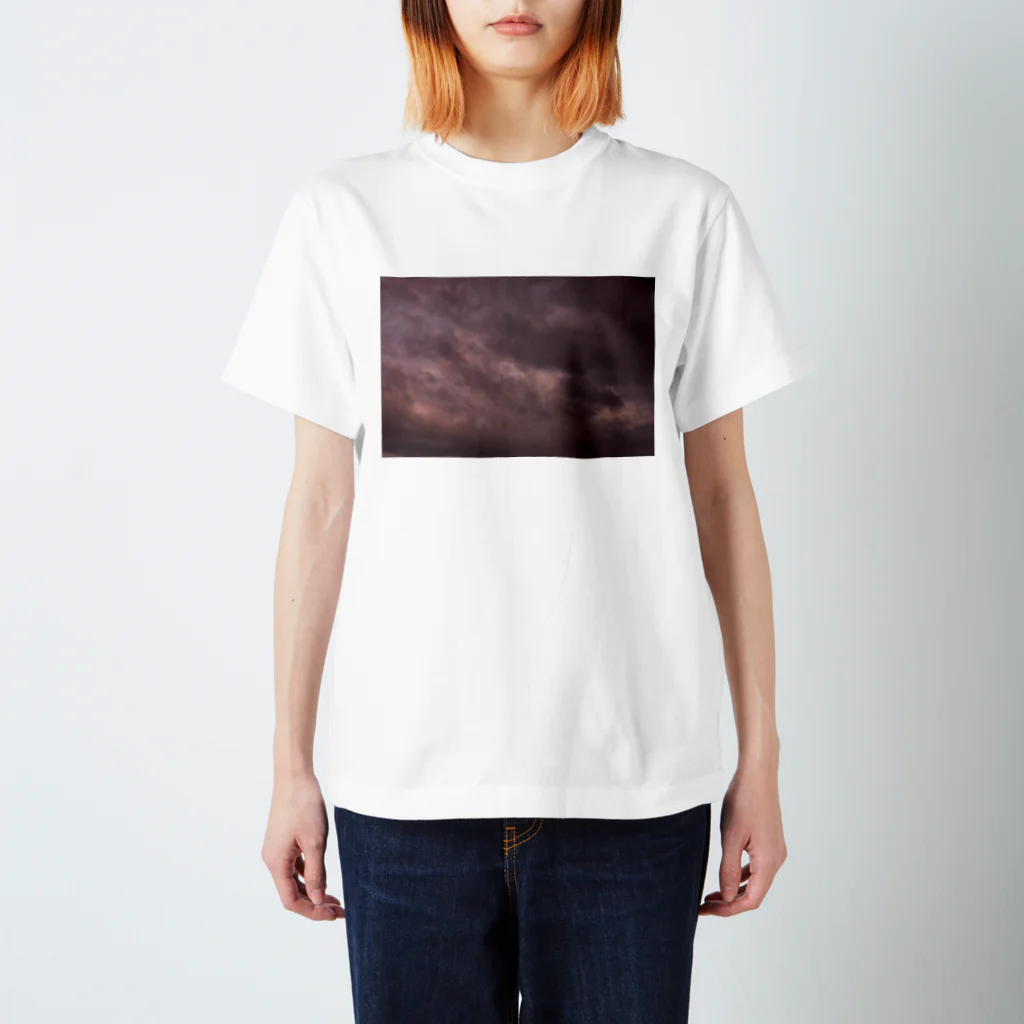 330photogalleries 公式オンラインショップのファインアート　2023 Regular Fit T-Shirt