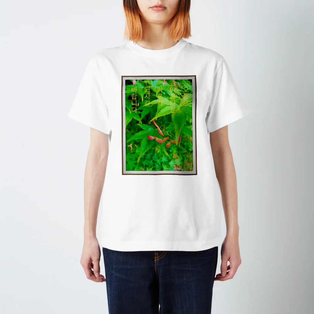 LalaHangeulの아름다운 하루 ~美しい1日~ Regular Fit T-Shirt