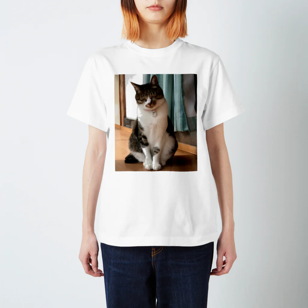 キャットネコ猫（実写） / Yamawaki17のスタンダードTシャツ通販