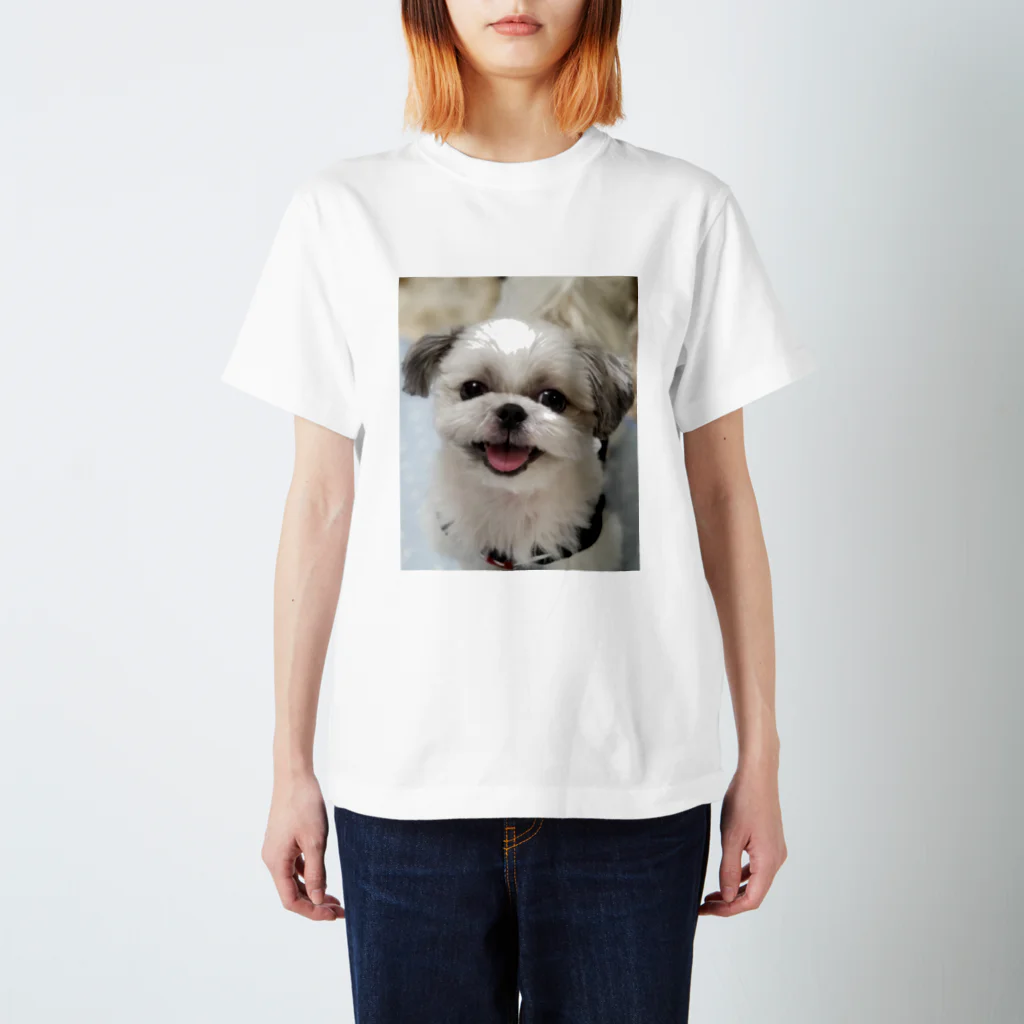 シーズー　ししまる＆ちゃちゃまるのシーズーししまる Regular Fit T-Shirt