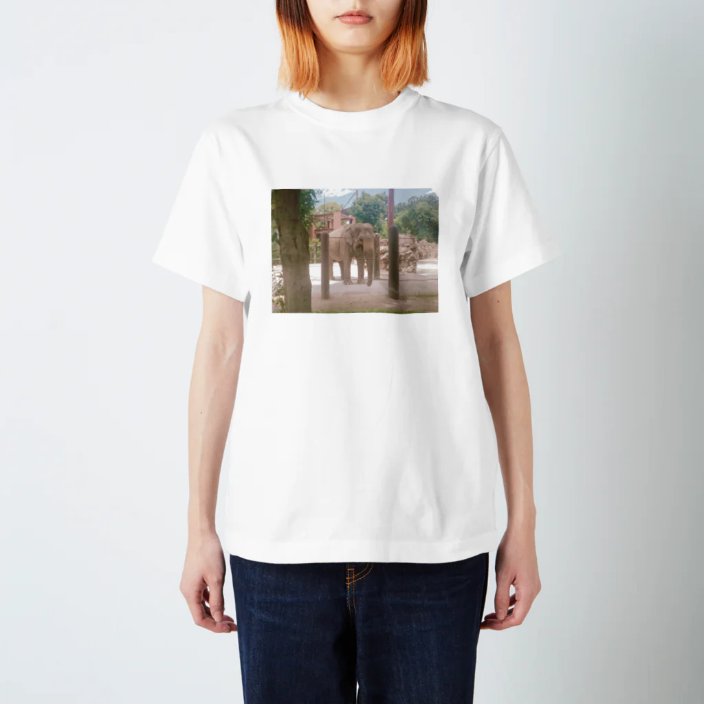 杏仁豆腐のぞうさん Regular Fit T-Shirt