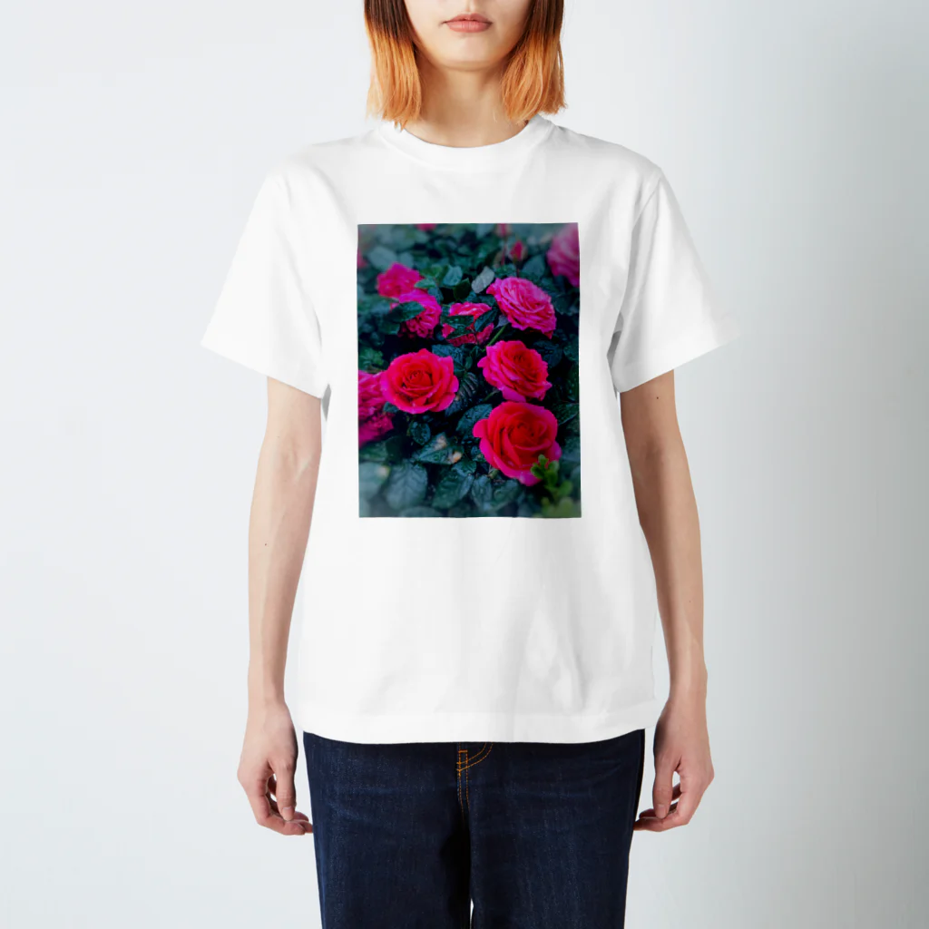 ナスタチウムのお花図鑑の雨の日のバラの世界 Regular Fit T-Shirt