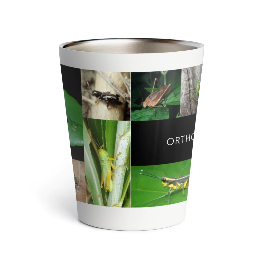 直翅類.jpのORTHOPTERA Thermo Tumbler