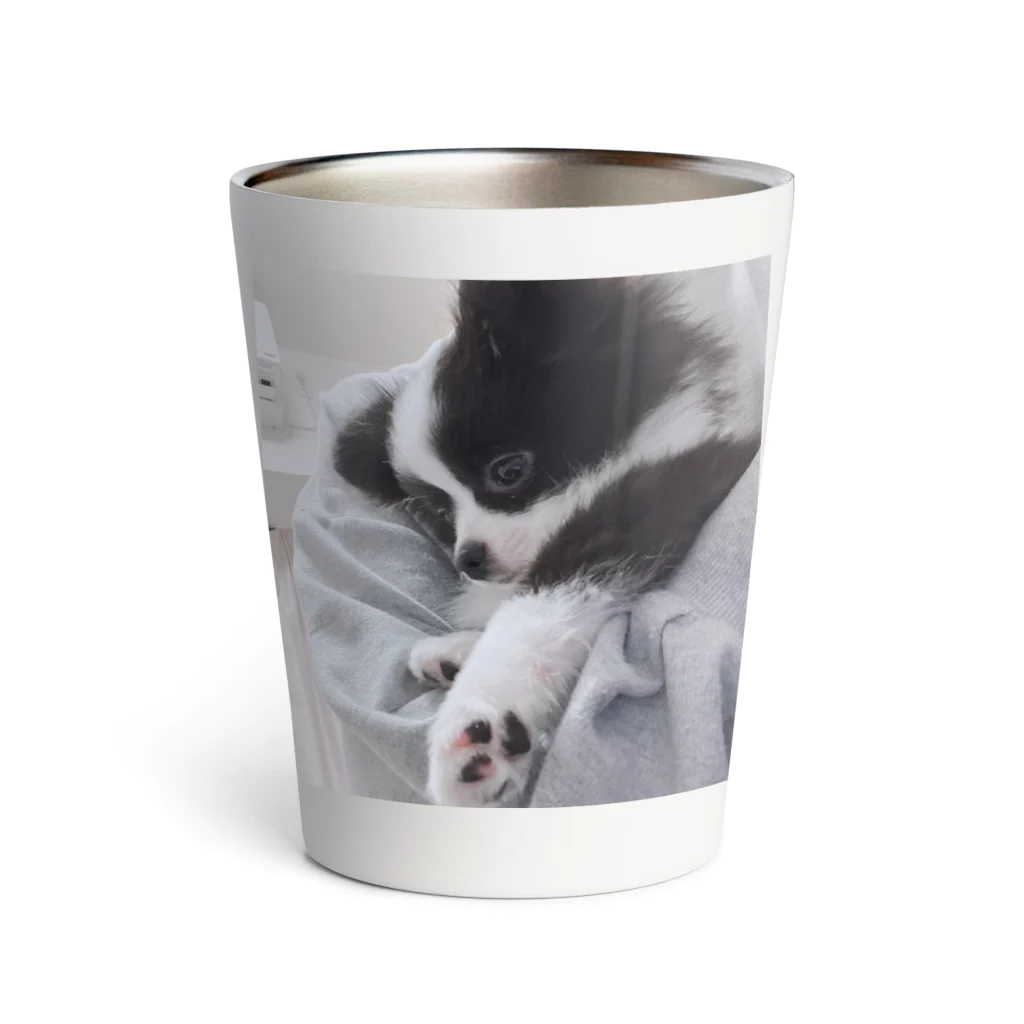 あるちゃんさん屋さんのかわいい肉球 Thermo Tumbler