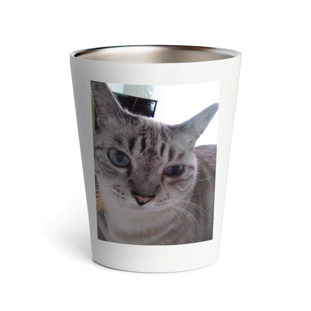 ねこの森でお散歩の可愛いシャムミックス Thermo Tumbler