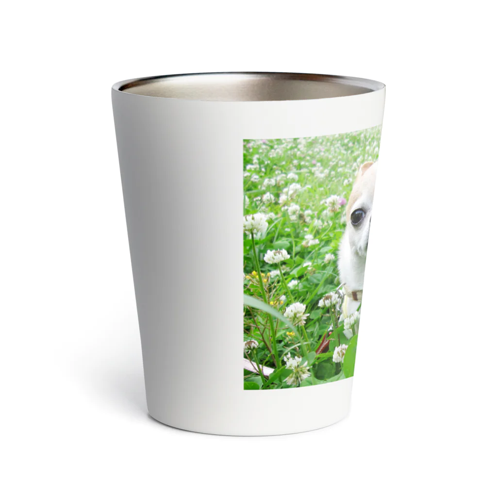 akane_art（茜音工房）のカラフルチワワ（クローバー） Thermo Tumbler