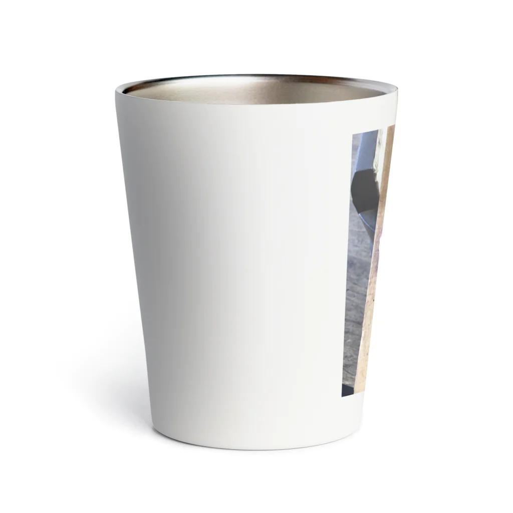 除夜のツタの葉 Thermo Tumbler