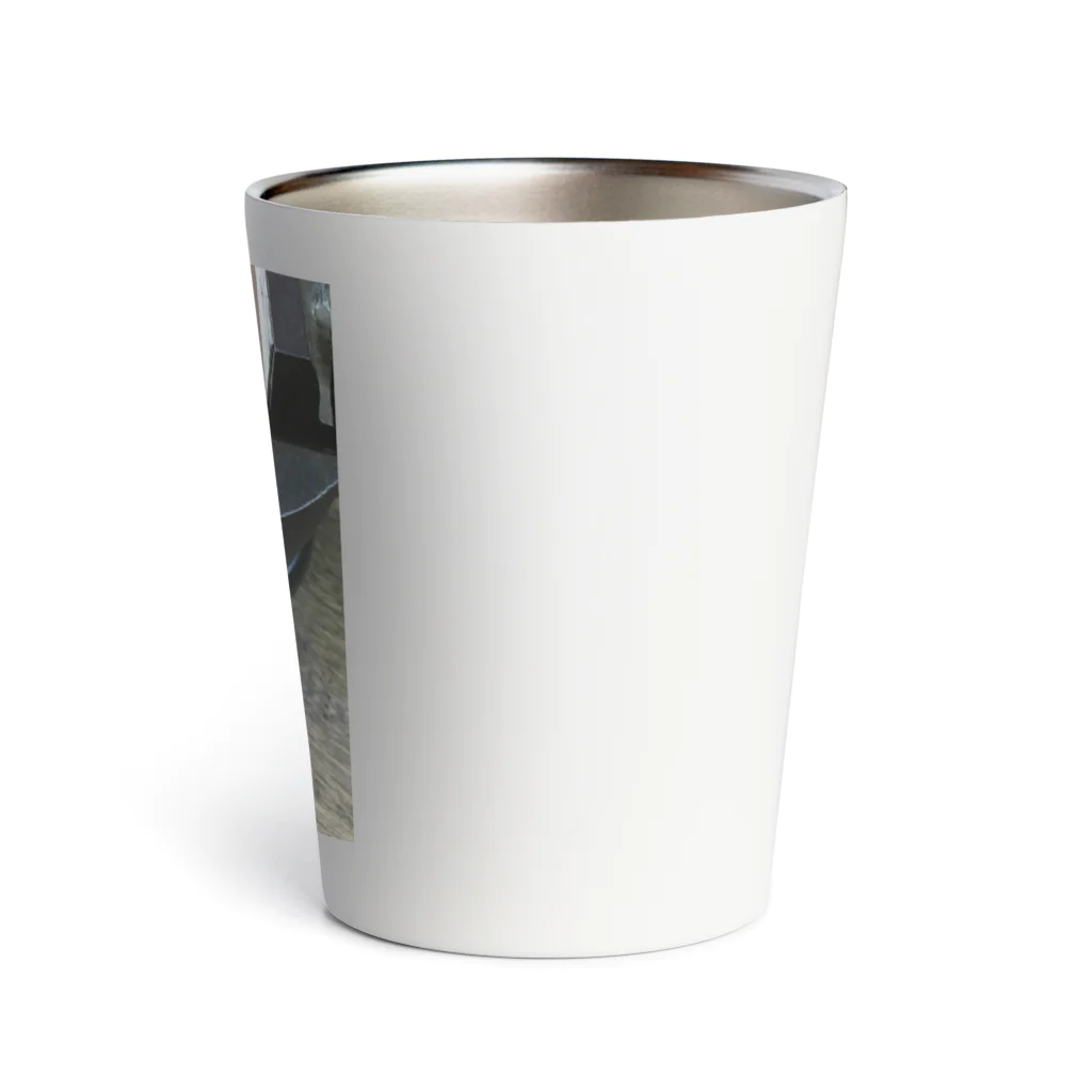 除夜のツタの葉 Thermo Tumbler