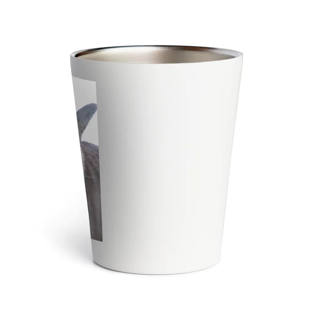 ねこの森でお散歩の可愛いシャムミックス Thermo Tumbler