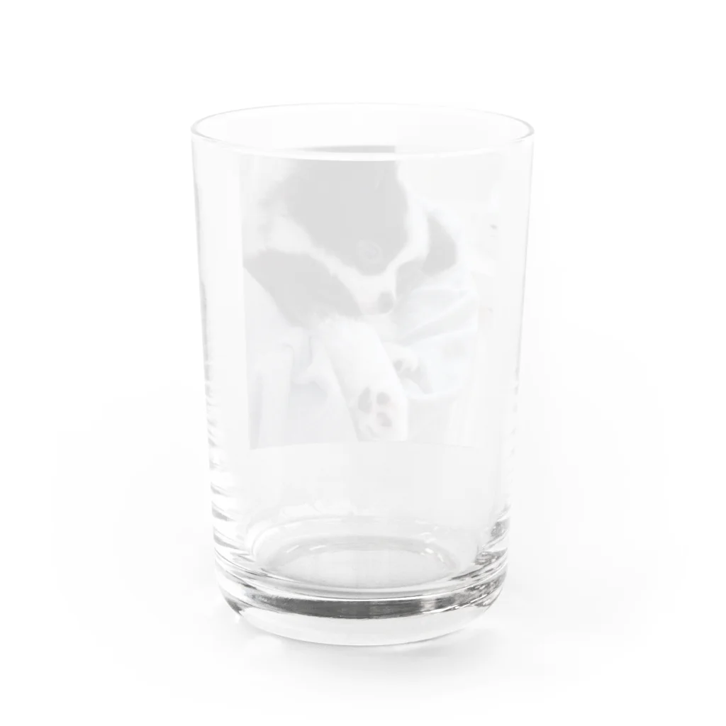 あるちゃんさん屋さんのかわいい肉球 Water Glass :back