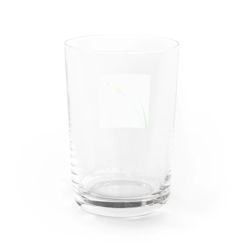 min P/Mのflower_001 Water Glass :back