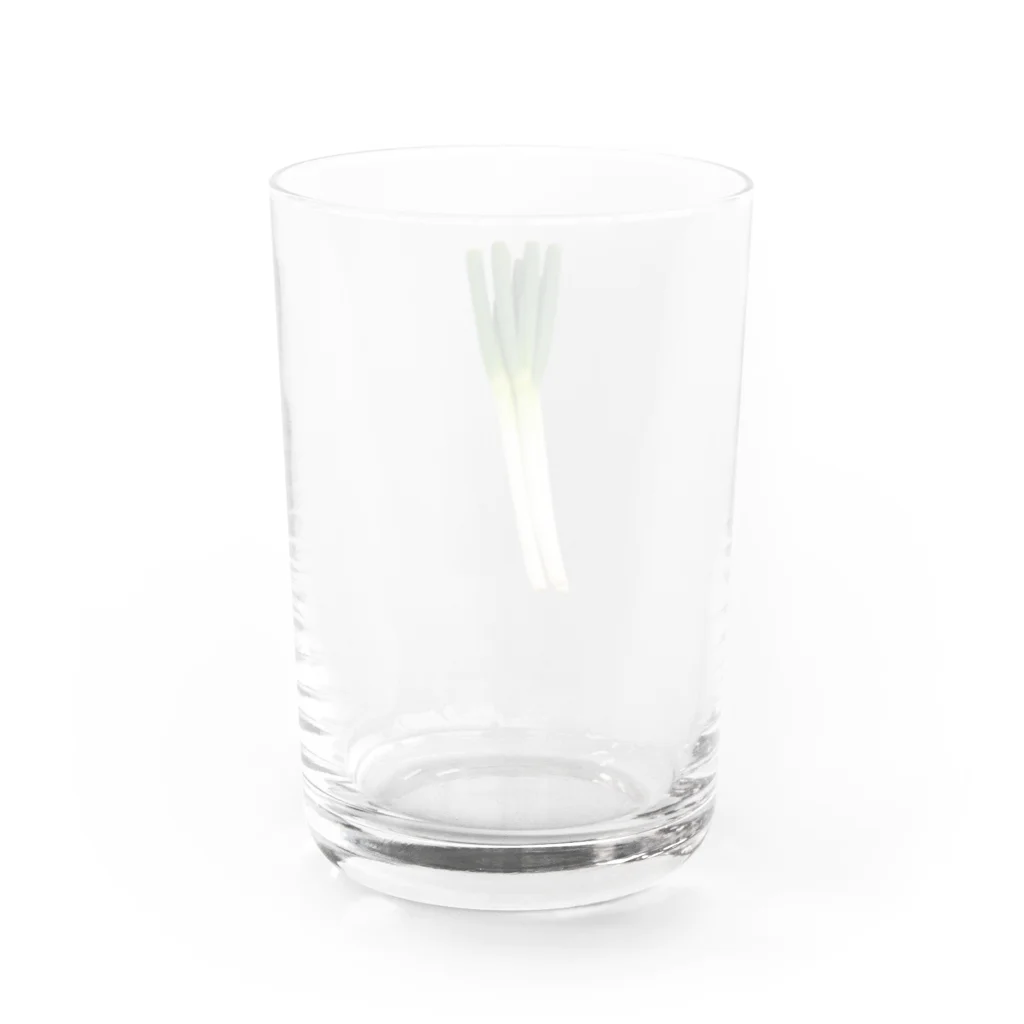shiramizのあれっ…ネギ、ついてない？ Water Glass :back