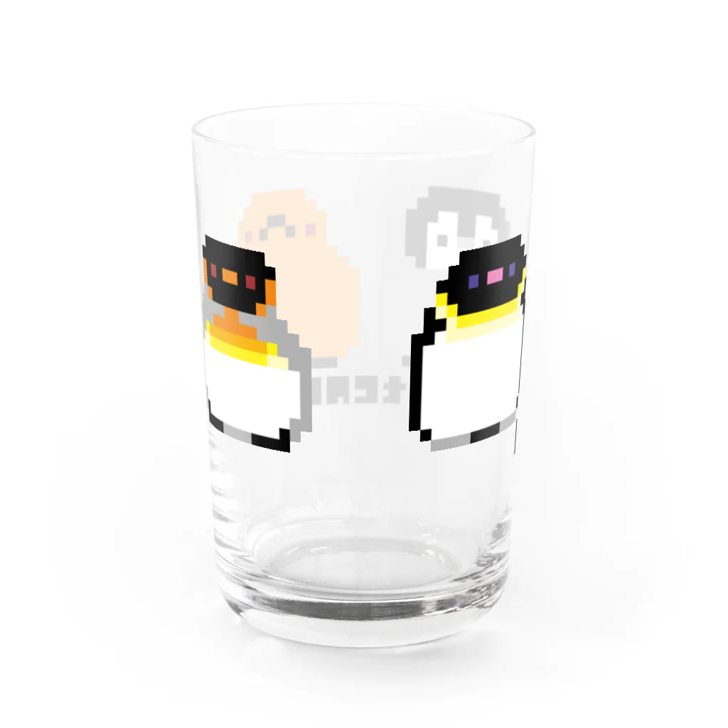ヤママユ(ヤママユ・ペンギイナ)のピコアプテノディテス(よこ) Water Glass :back