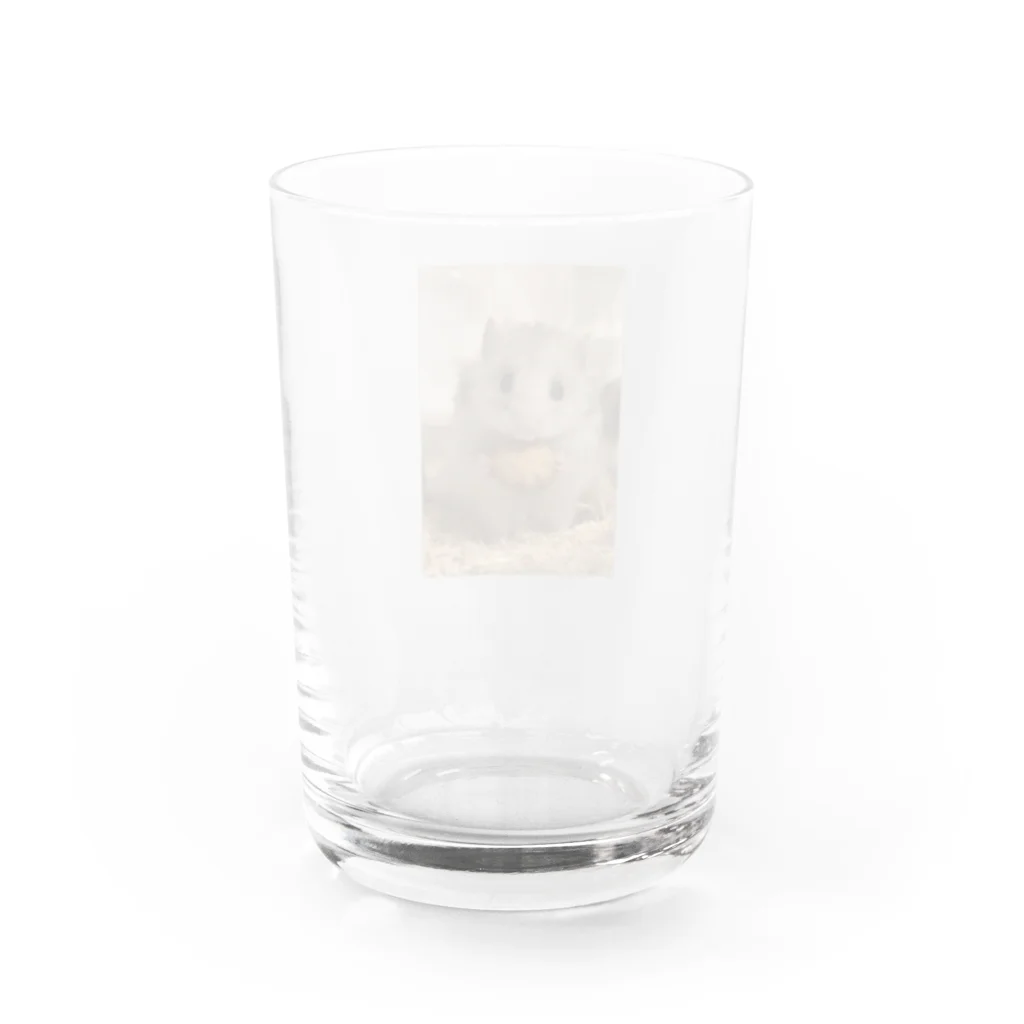 ハムのたけしのロングヘアーハムスターのたけし Water Glass :back