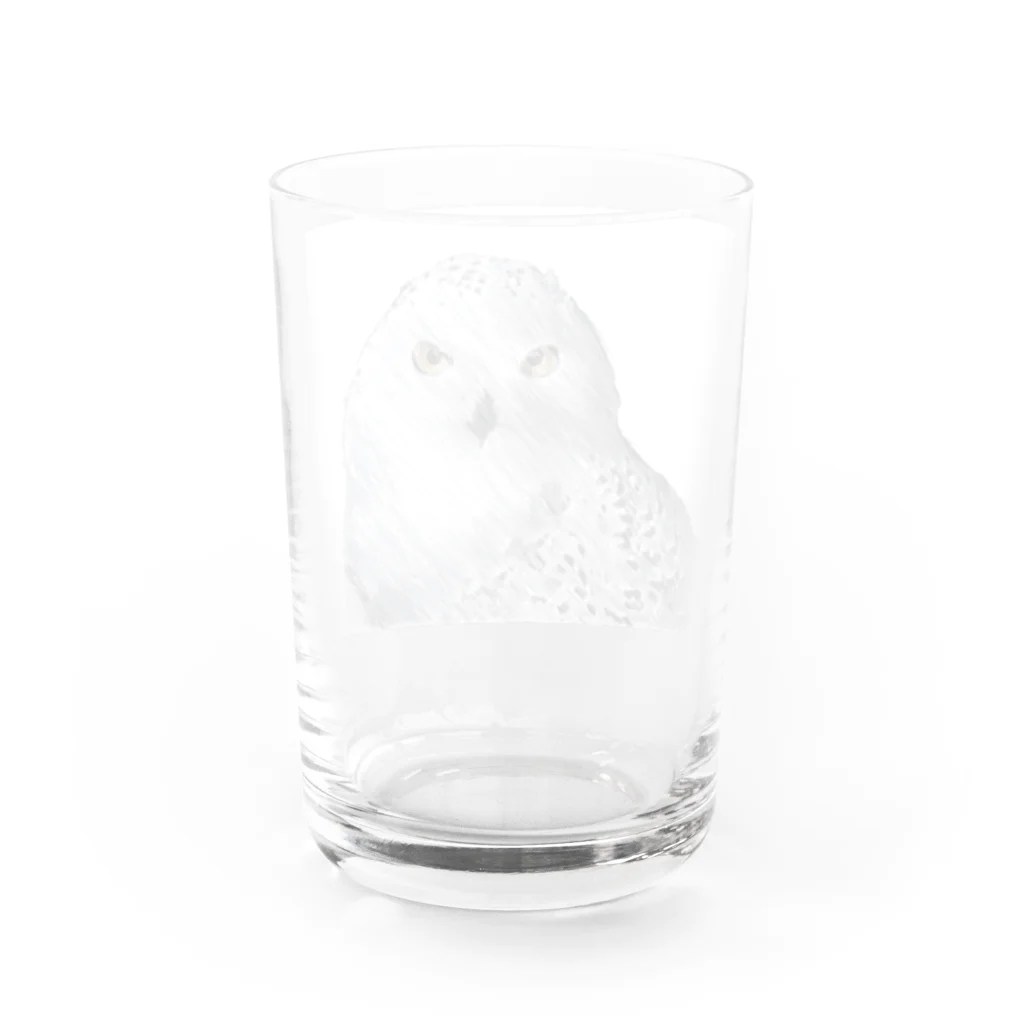 静かな山の頂へのフクロウ Water Glass :back