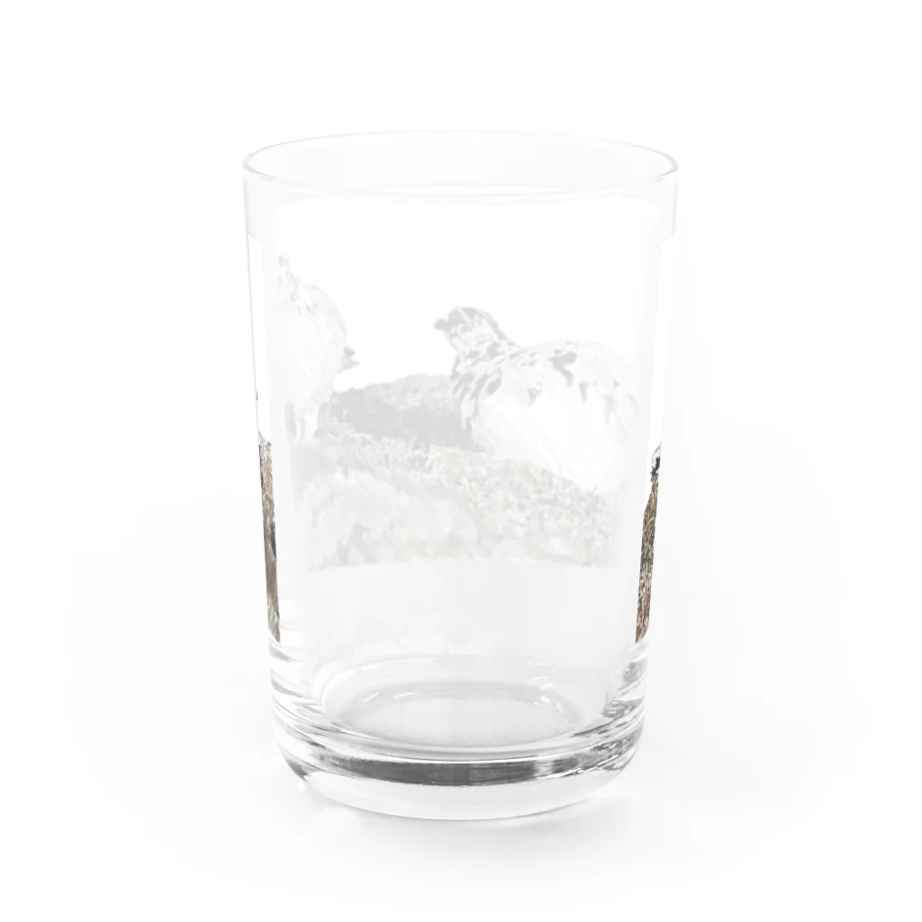 静かな山の頂への雷鳥のカップル Water Glass :back