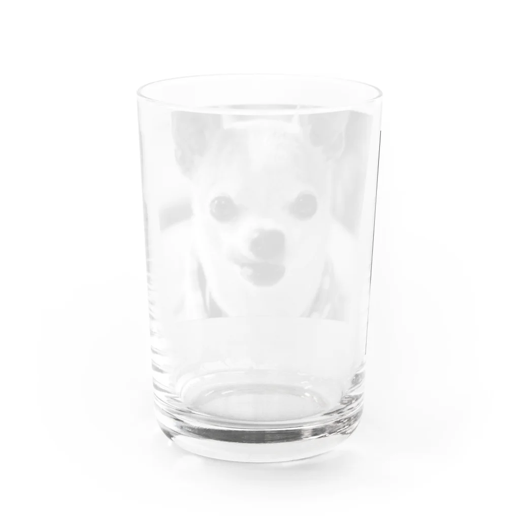 akane_art（茜音工房）のモノクロチワワ（ぺろんちょ） Water Glass :back