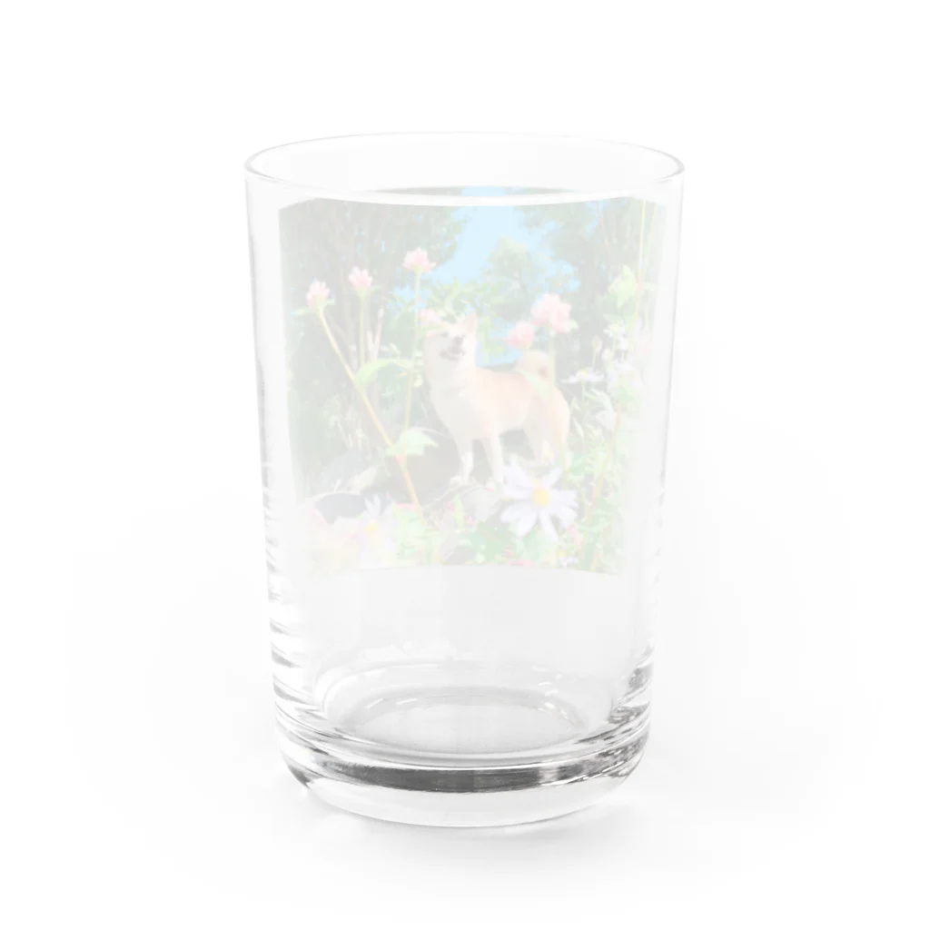 ももと天空の月のもも☆お花のセンター Water Glass :back