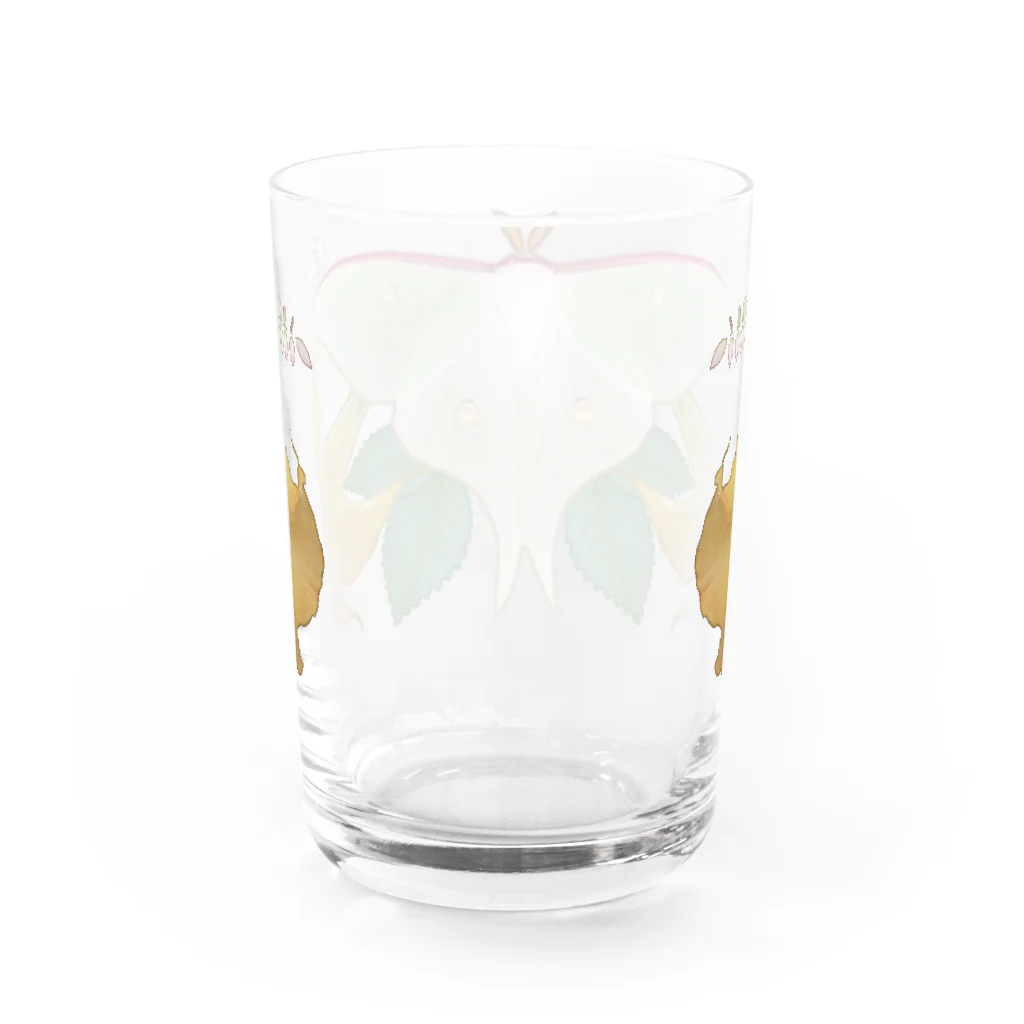 ニムニムのお部屋の大きな蛾 Water Glass :back