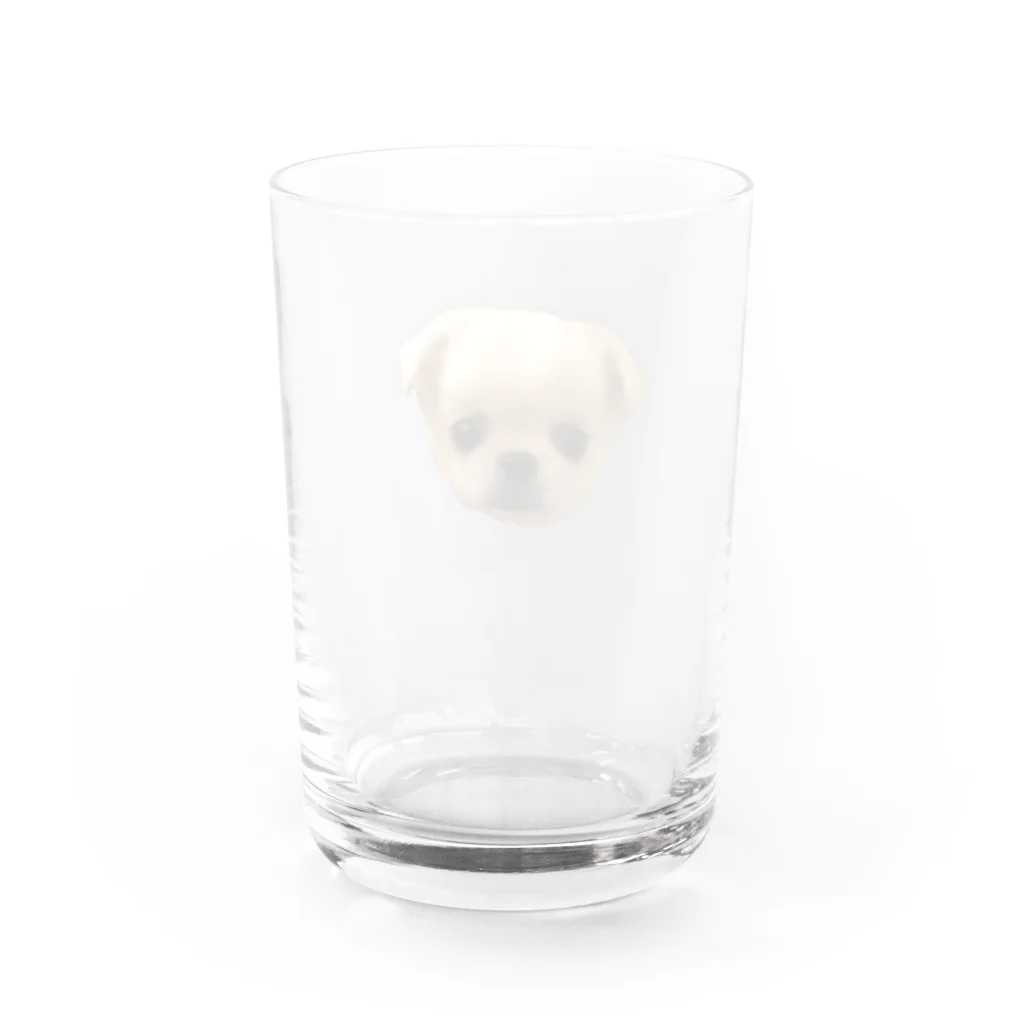 四本足のお友達の四本足のお友達 Water Glass :back