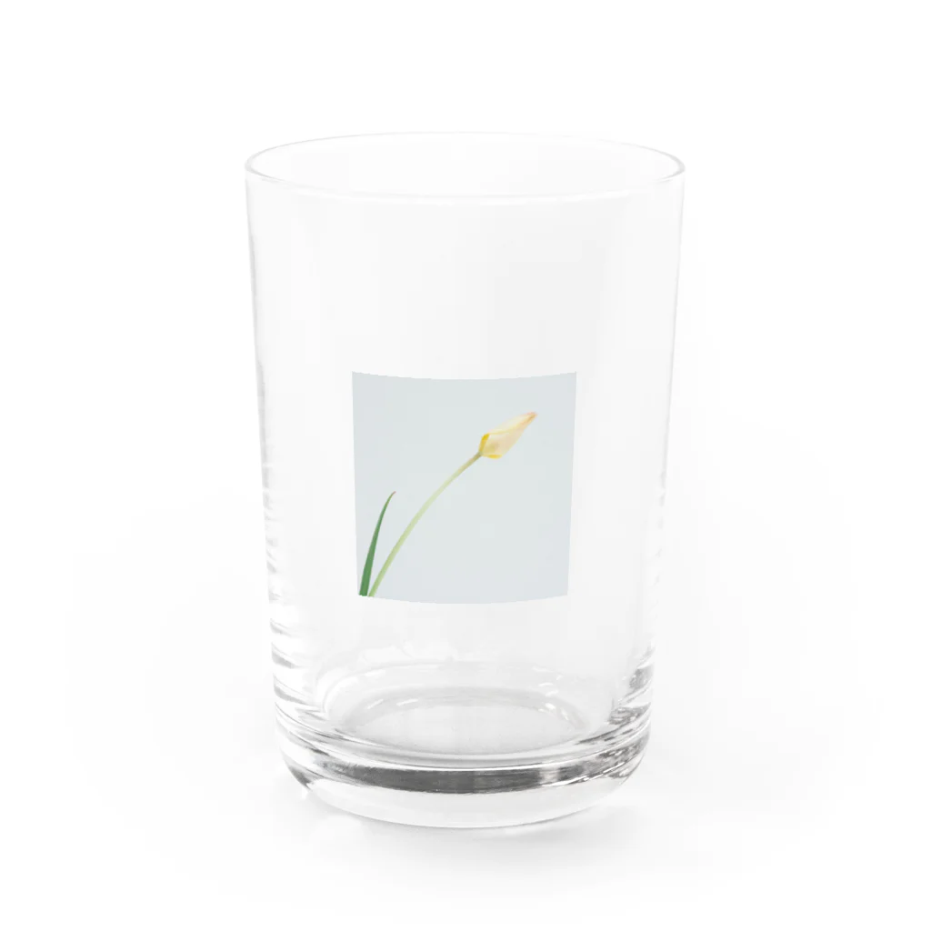 min P/Mのflower_001 Water Glass :front