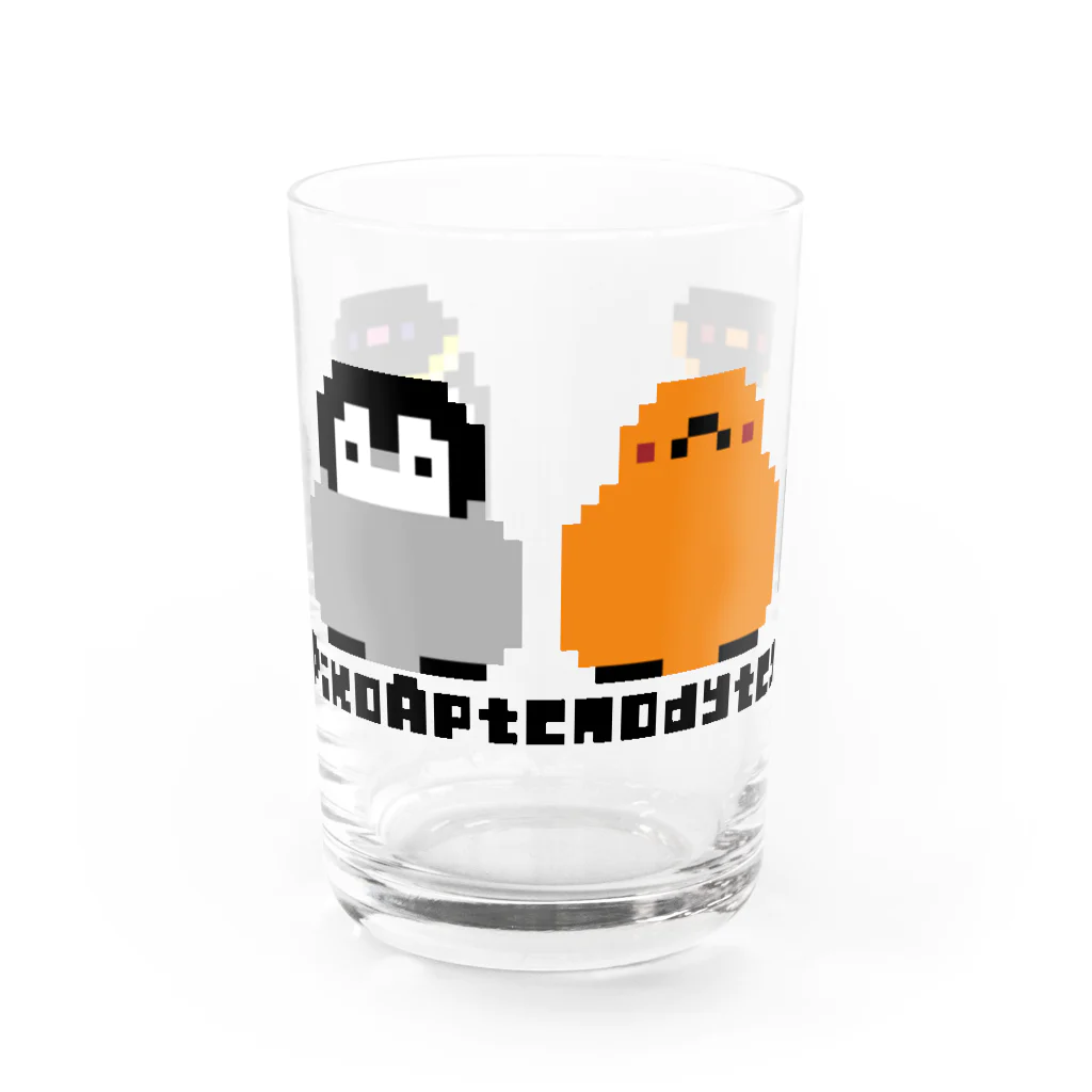 ヤママユ(ヤママユ・ペンギイナ)のピコアプテノディテス(よこ) Water Glass :front