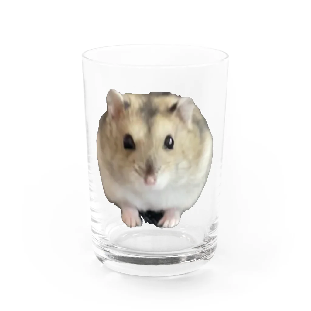 cozaoのたーさん Water Glass :front