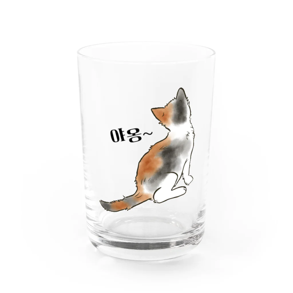 LalaHangeulの三毛猫さん ハングルデザイン  Water Glass :front