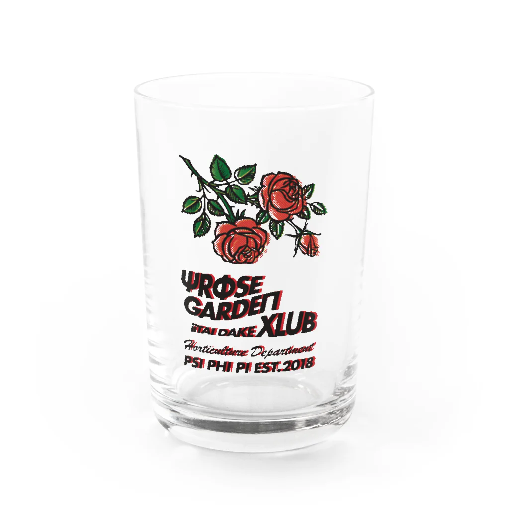 Samurai Gardenサムライガーデンのvintage RGX Water Glass :front