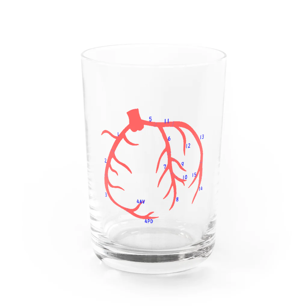 ゆんちるのとにかく冠動脈（番号のみ） Water Glass :front