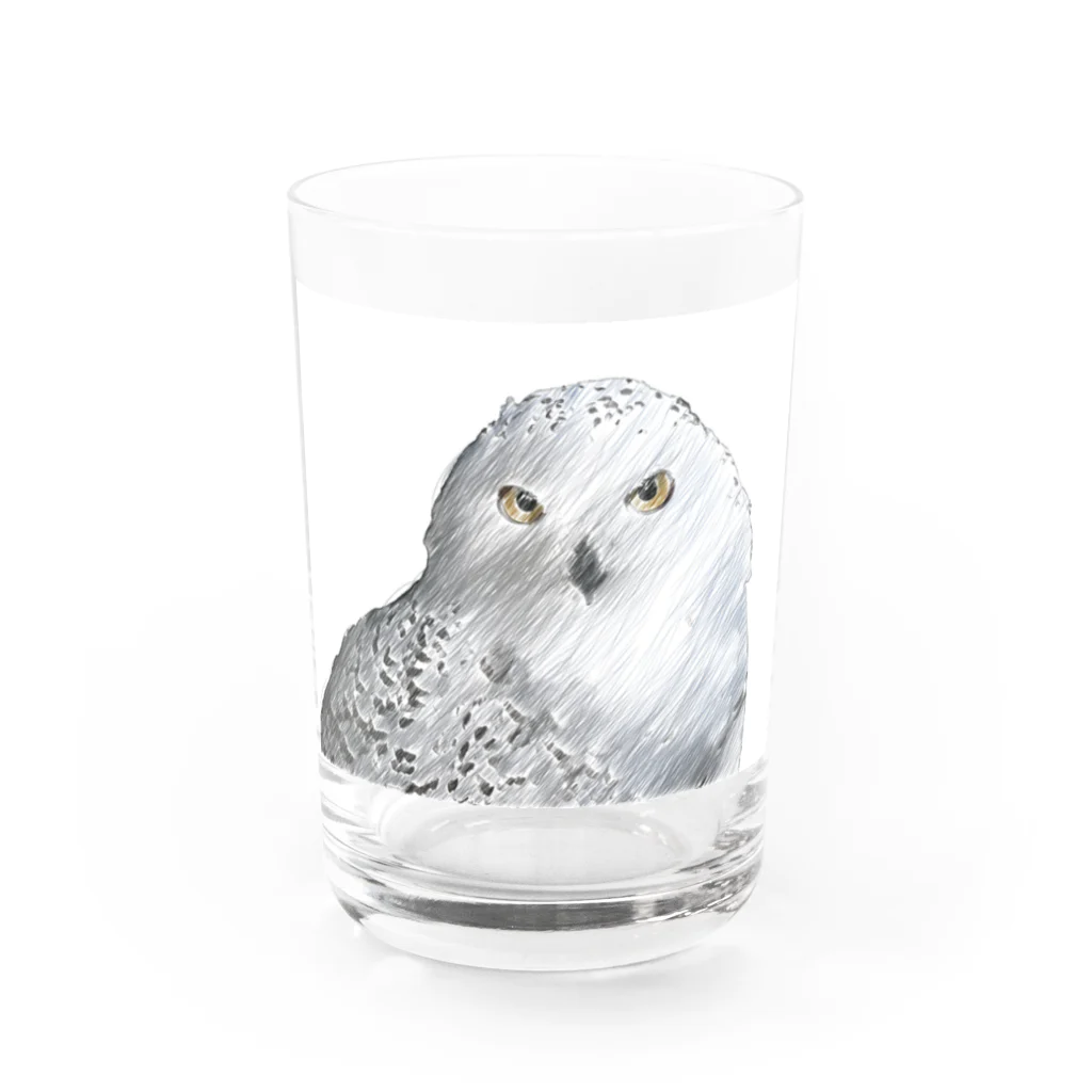 静かな山の頂へのフクロウ Water Glass :front