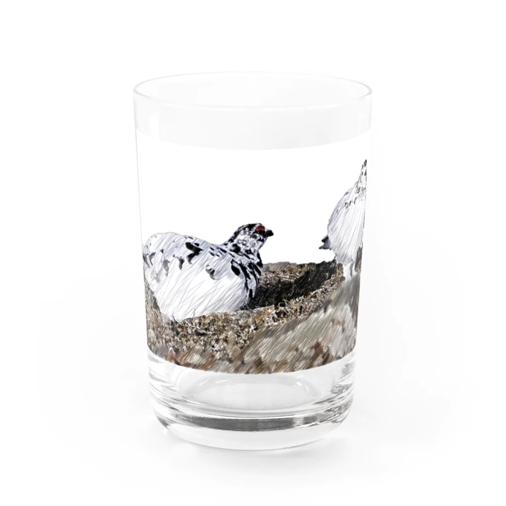 静かな山の頂への雷鳥のカップル Water Glass :front